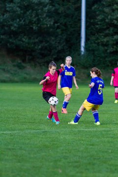 Bild 238 - B-Juniorinnen TSV Gnutz o.W. - SV Wahlstedt : Ergebnis: 1:1